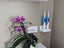 Dual Oral B Toothbrush Holder Carousel 3