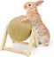 Loading Image 1 of 5