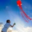 3D Octopus Kites Carousel 3