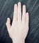 Rose Gold Brush Finish Titanium Stainless Steel Wedding Engagement Ring- New Carousel 4