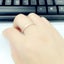 Rose Gold Brush Finish Titanium Stainless Steel Wedding Engagement Ring- New Carousel 11