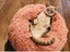 Cat Bed S 2019516 Carousel 13