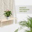 Macrame Plant Hanger Shelf Wall Hanging I0937BG0 Carousel 10