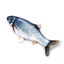 Cat Toy Fish i1842BK0 Carousel 13