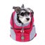 Cat Carrier Backpack Bag E0431HP3 Carousel 2