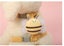 Rabbit harness Small Pet walking Lead with Clip Cat Harness small dog harness Carousel 8