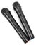 Portable Sound System - 2x 10 Inch BT-UHF Carousel 9