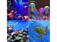 PTN New LED Aquarium Light RGB Sale Sale Carousel 4