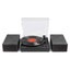 Vinyl Record Player Complete with speakers Carousel 4