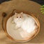 Kimpets Cat Bed Pet Nest Pure Manual Rattan Woven Cattailgrass Cat Carousel 4