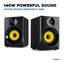 Studio Monitors - Active - 5 Inch - Pair - Black Carousel 13