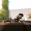 Record Player Bluetooth Out Built in speakers Carousel 11