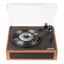 Record Player Carousel 8