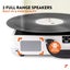 Record Player Retro Carousel 15