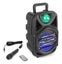 Portable Party Speaker 8 Inch Carousel 3
