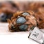 Pet Clippers Dog Grooming Clippers 2008511 Carousel 4