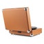 Bluetooth Record Player Carousel 10