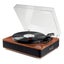 Record Player Carousel 3