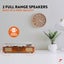 Vinyl Record Player Carousel 4