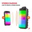 BoomBox300 Party Speaker with LED Carousel 14