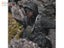 Hunters Element Bino Defender Desolve Veil Std Carousel 8