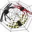 Spider Web Giant Spider Web Decoration Black White Giant Stretchy Carousel 6