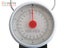 Kilwell Dial Face Weighing Scale 22kg Carousel 3