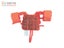 Bestway Swim Safe Kids Buoyancy Aid Orange 3-6yo Carousel 5