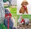 Dog Vest Harness Leash Set M 3631610 Carousel 4