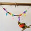 Bird Toy Parrot Swing Bridge Cage Toys I0615MZ0 Carousel 4