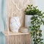 Macrame Plant Hanger Shelf Wall Hanging I0940BG0 Carousel 11