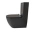Black Toilet Carousel 3
