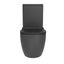 Black Toilet Carousel 4