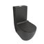 Black Toilet Carousel 5