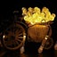 Solar String Lights 50LED Christmas Outdoor Lights 2004282 Carousel 7