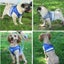 Cat Vest Harness Leash Set S 3631613 Carousel 4
