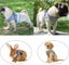 Dog Vest Harness Leash Set M 3631606 Carousel 6