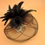 Fascinator Fascinators I0360BK0 Carousel 8