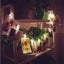 Photo Peg Clip String Lights 5M 50 LED 2004261 Carousel 11