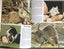 BABY ANIMALS BY JANE BURTON Carousel 3
