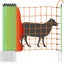 Loading Image 1 of 8