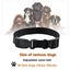 New New Dog Training Collar - NEW *IN STOCK NOW* Carousel 4
