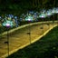 Garden Solar Light Outdoor Firework Lights 2004075 Carousel 18