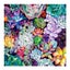 5D Diamond Painting Diamond Art Kits I1803CF0 Carousel 1
