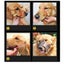 Dog Muzzle Dog Muzzles XL I0596DC4 Carousel 3