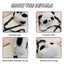 Panda Backpacks One Shoulder Diagonal Messenger Bag Wallet Cartoon Carousel 3