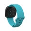 Fitbit Versa 3 Sense Strap Band L I0892LB3 Carousel 8