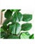 Artificial Fiddle Leaf Tree 150cm with planter *40% OFF* Carousel 3