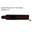 Pair (2pcs) Weight Lifting Strap / Wristband Carousel 7