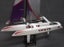 Beili Skate 1000 Trimaran Sailboat 1700mm Height ( almost ready to sail) Carousel 3
